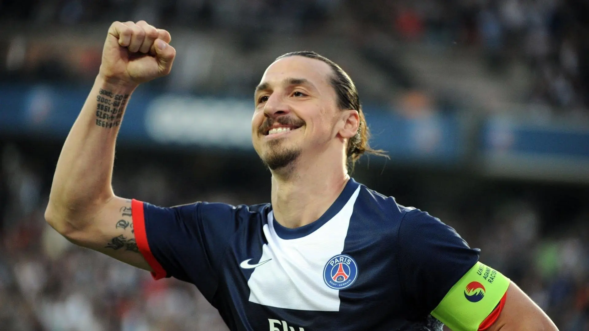 荷兰马术协会与美洲马术协会合作，举办国际马术培训班。，荷兰马种