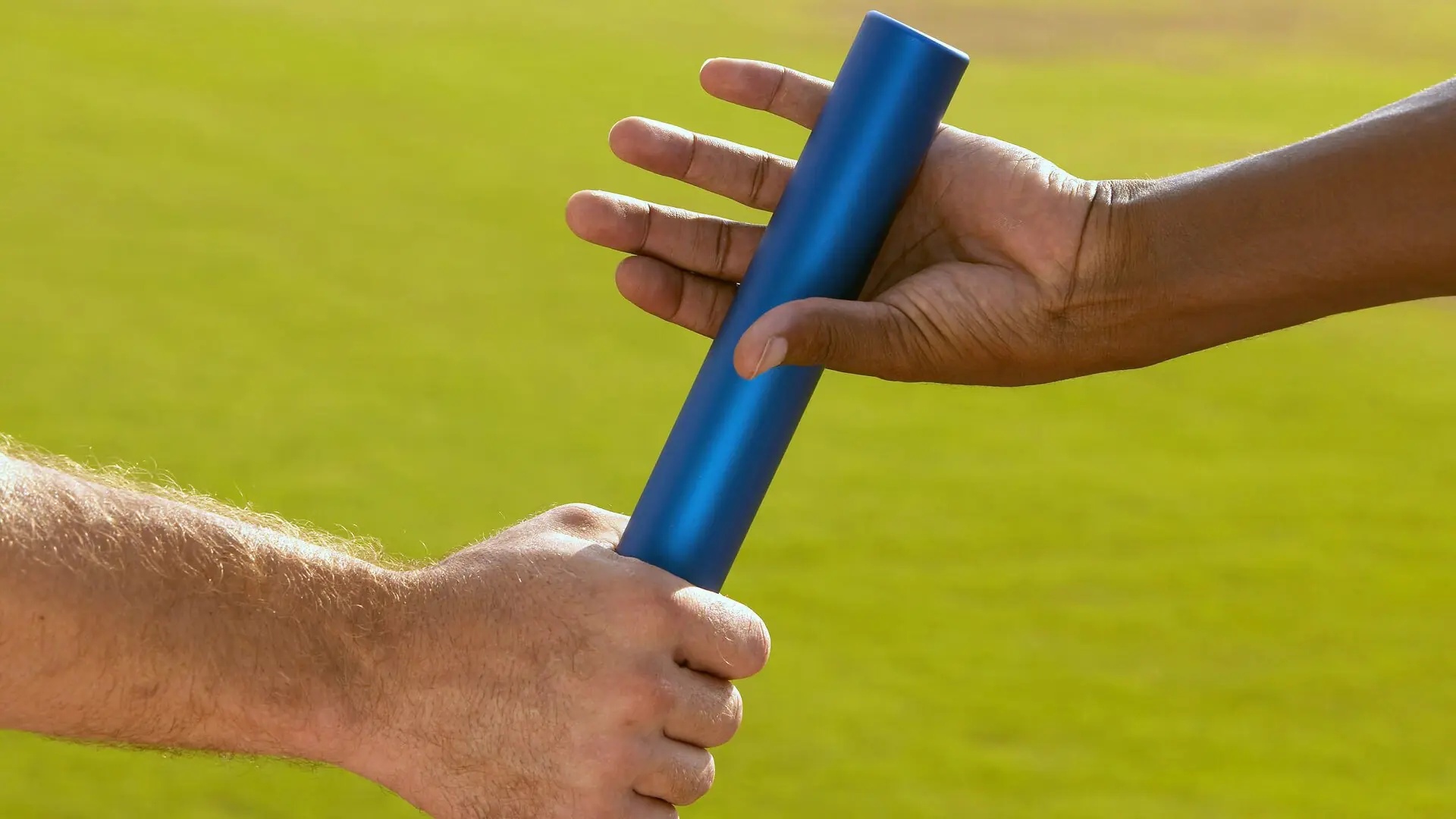 绿色行动：联盟践行环保理念，守护地球未来，绿色行动建议